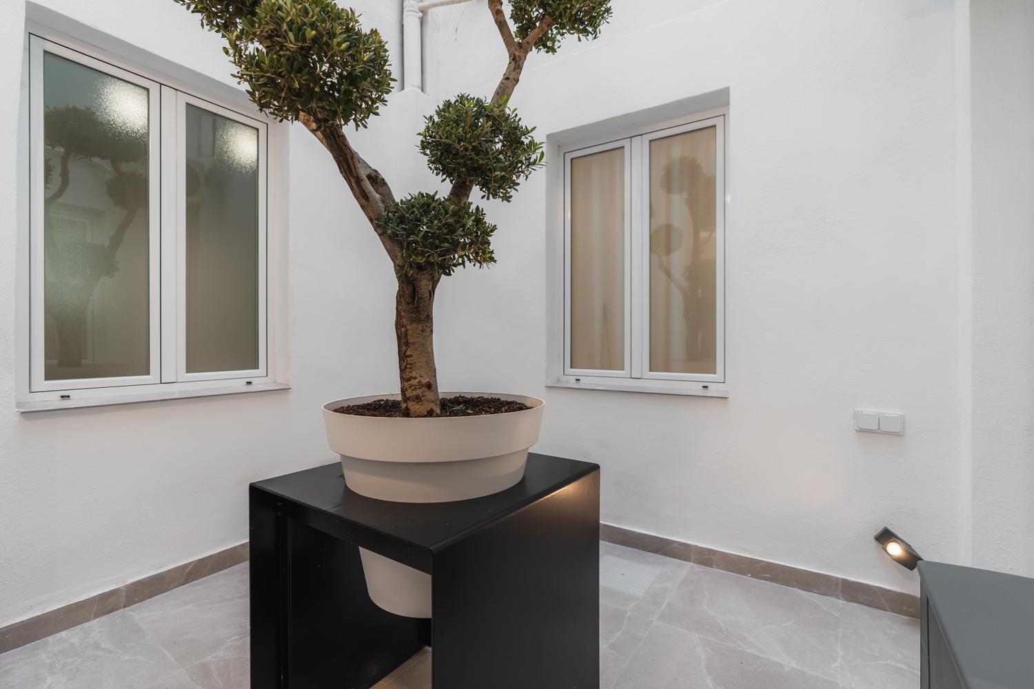 Tuguest Buensuceso Apartment Гранада Экстерьер фото